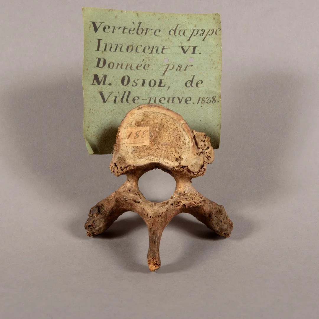 Les Papes et Avignon 3