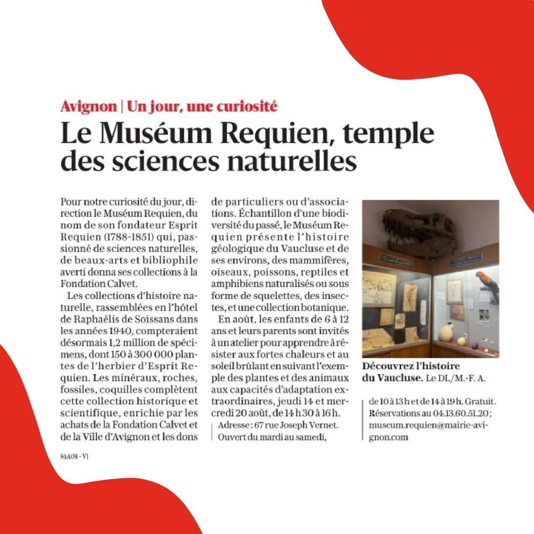 Articles presse Vaucluse Matin 3