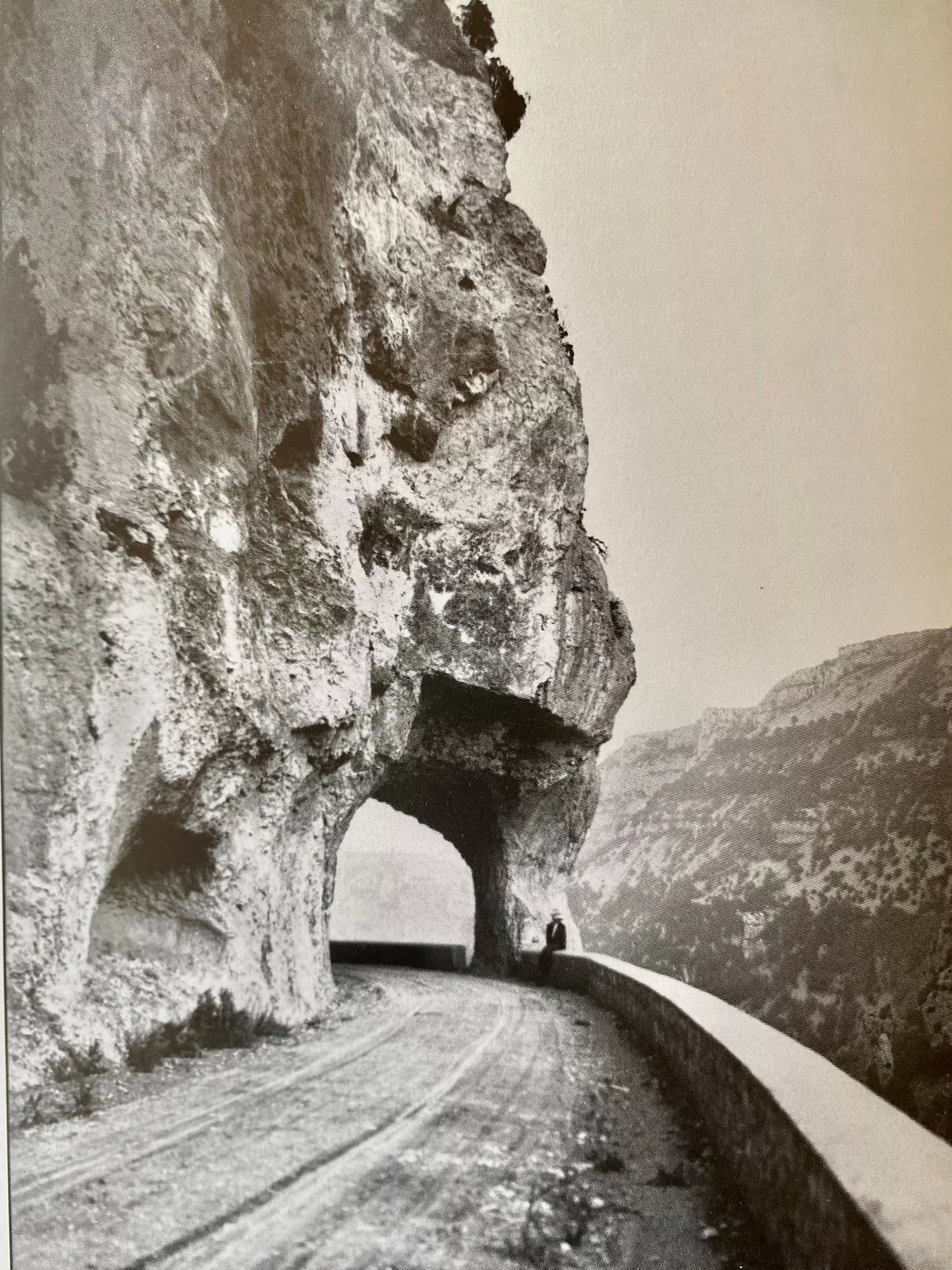 Les gorges de la Nesque