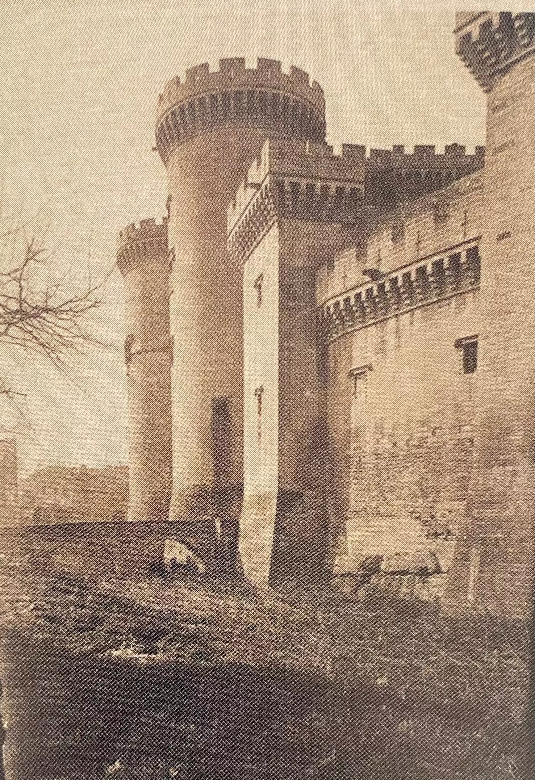 Le château et ses douves - TARASCON