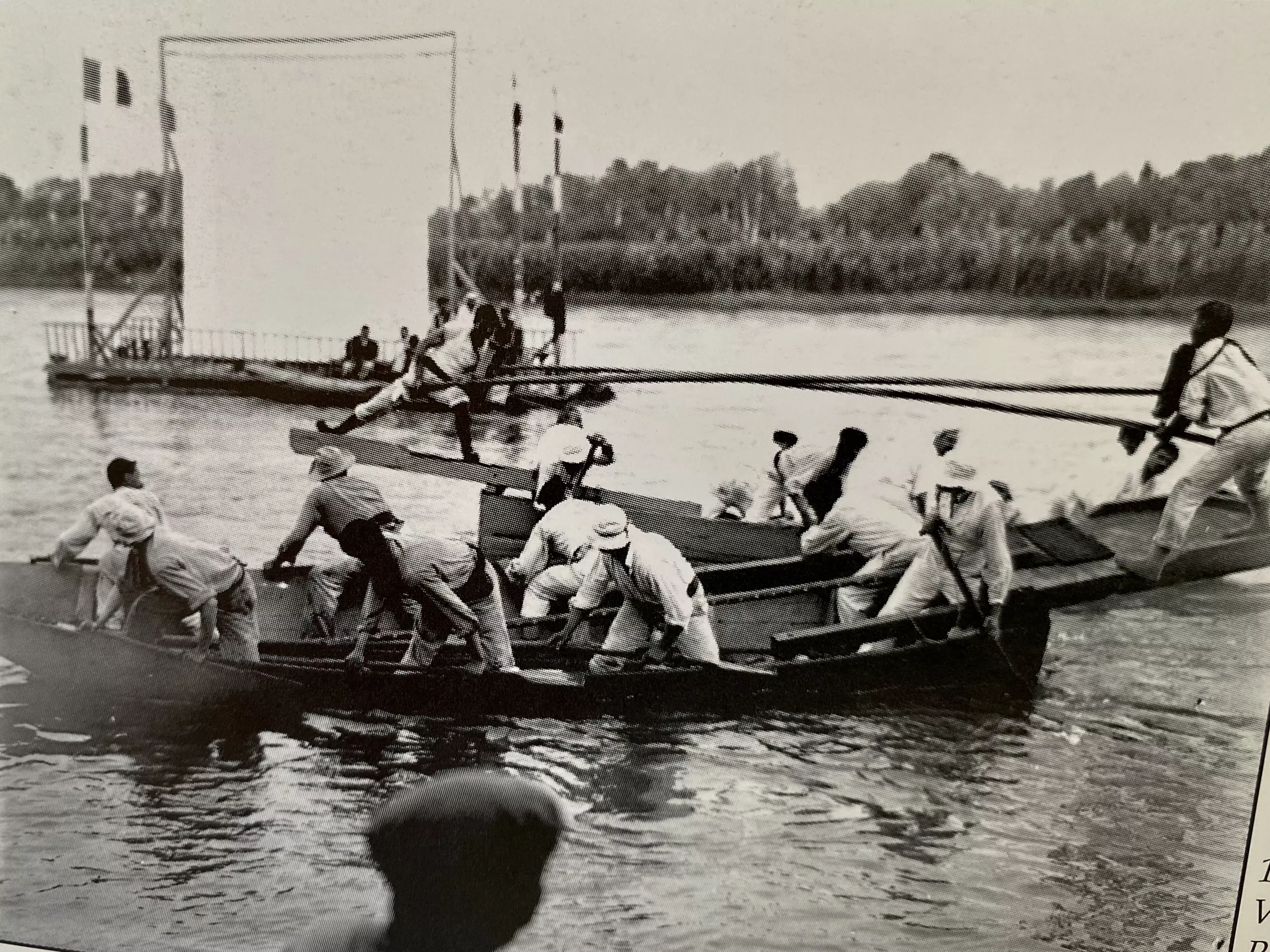 Joutes sur le Rhône AVIGNON