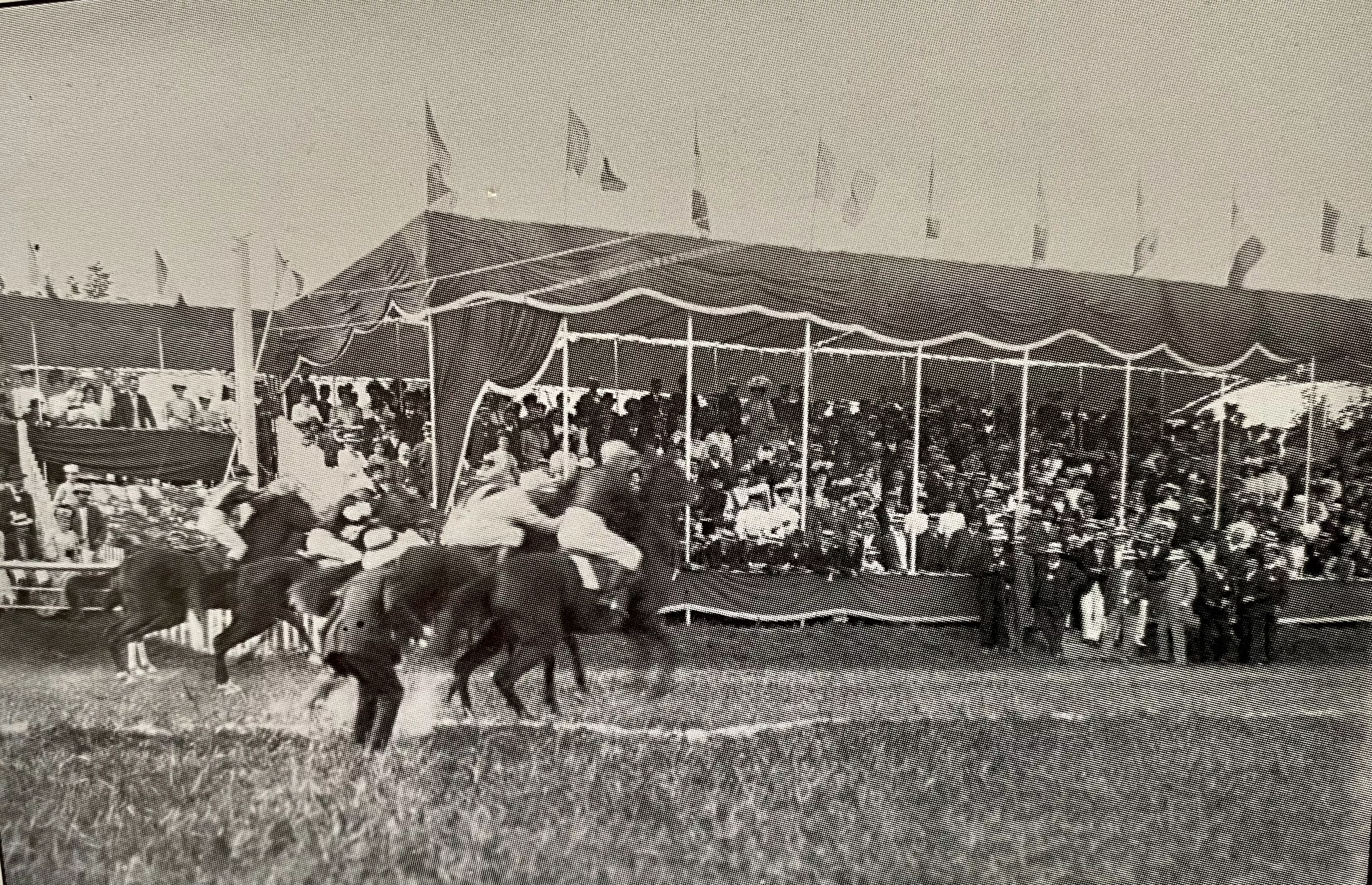 Course à l'hippodrome CAVAILLON