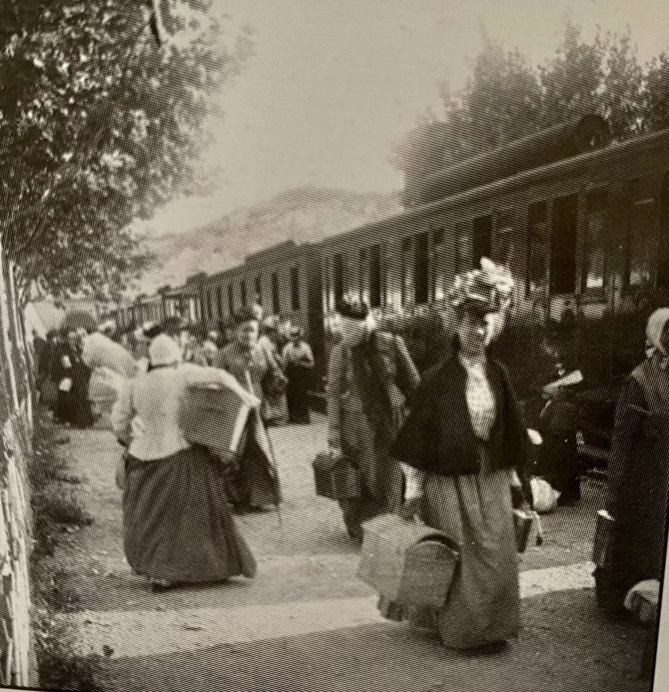 Arrivée d'un train en gare VILLENEUVE LES AVIGNON