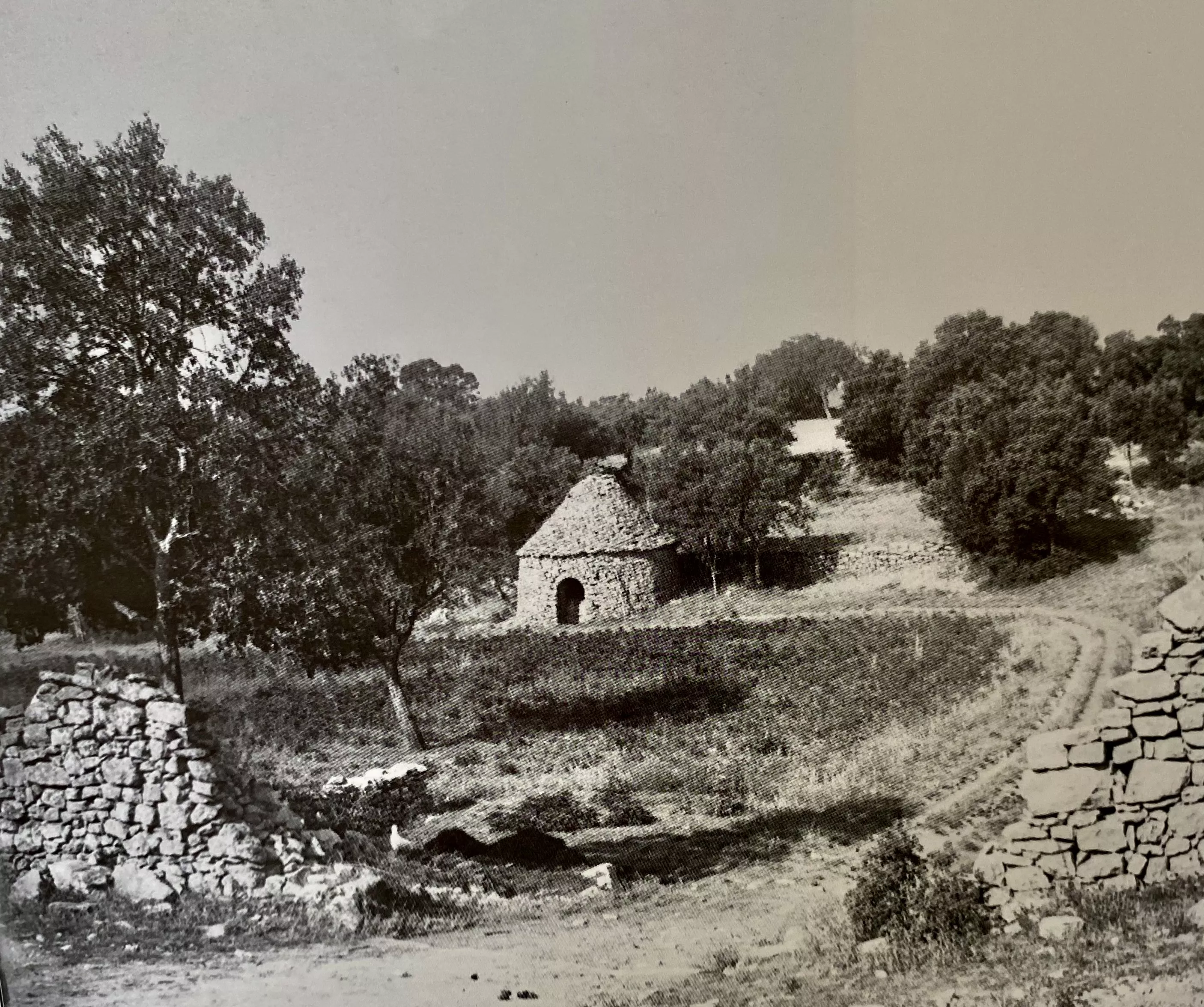 Capitelle dans la garrigue