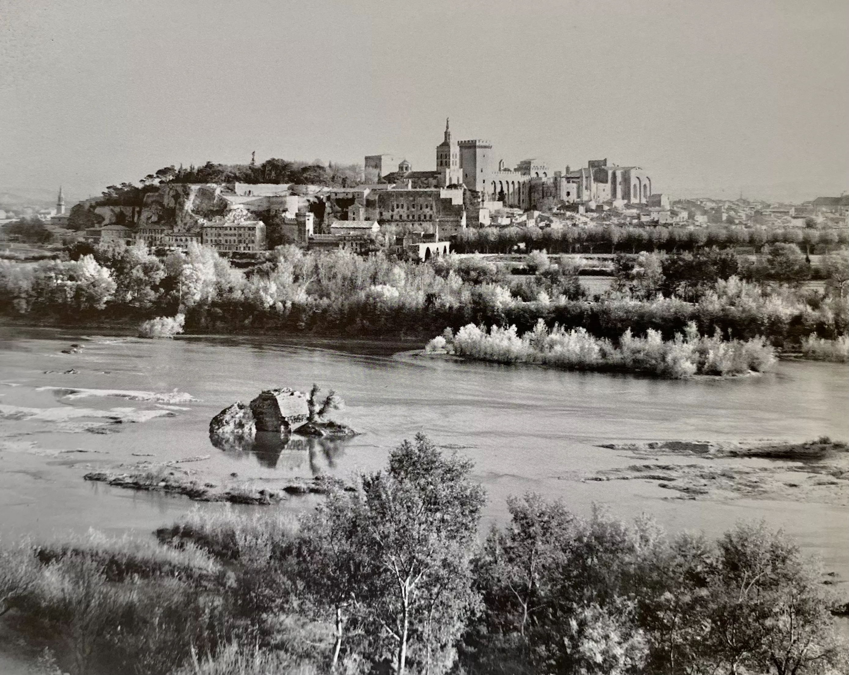 Vue générale : Le Rhône, la Barthelasse et une ancienne pile du pont Saint -Bénézet